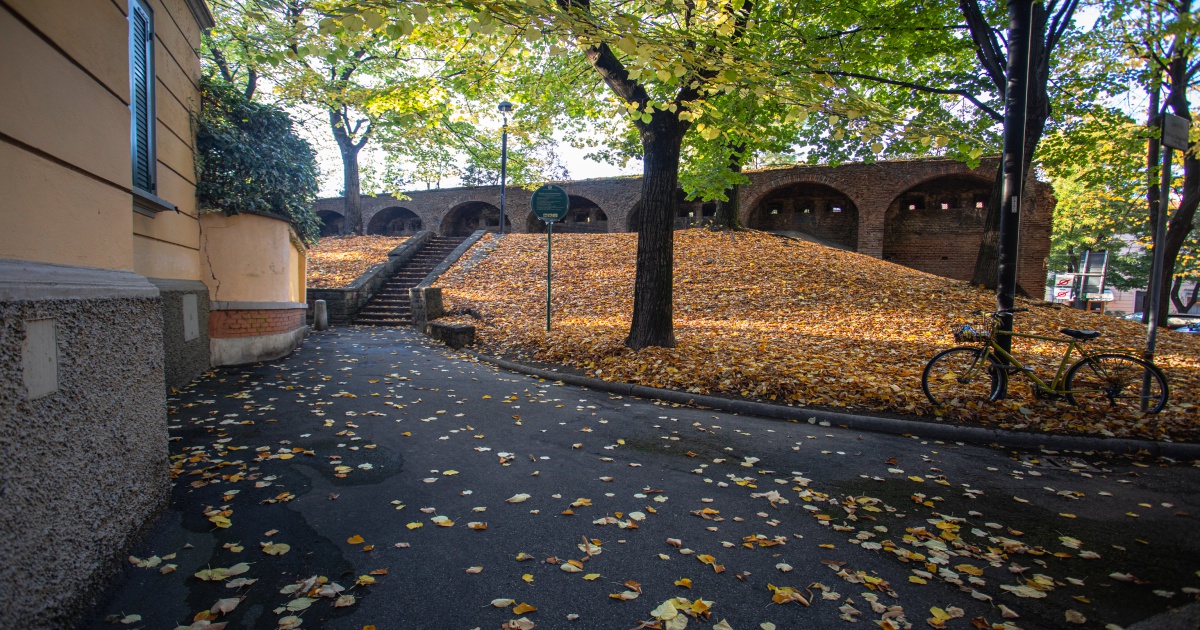 <p>Un giardino, situato tra le mura medievali e inaugurato nel 2012, dedicato ad uno dei più noti artisti ed attivisti del movimento gay bolognese, Stefano Casagrande, tra i fondatori del Cassero e ispiratore nel 1994 della manifestazione The Italian Miss Alternative per raccogliere fondi da destinare alle associazioni impegnate nella lotta all’Aids.</p>
